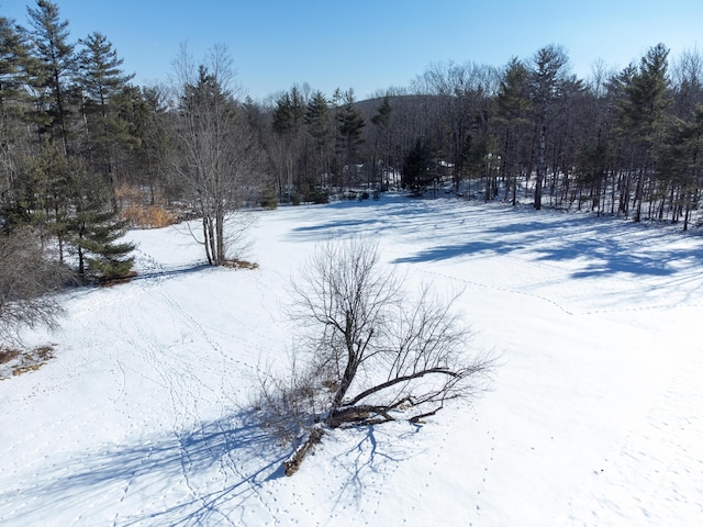 view of snowy yard