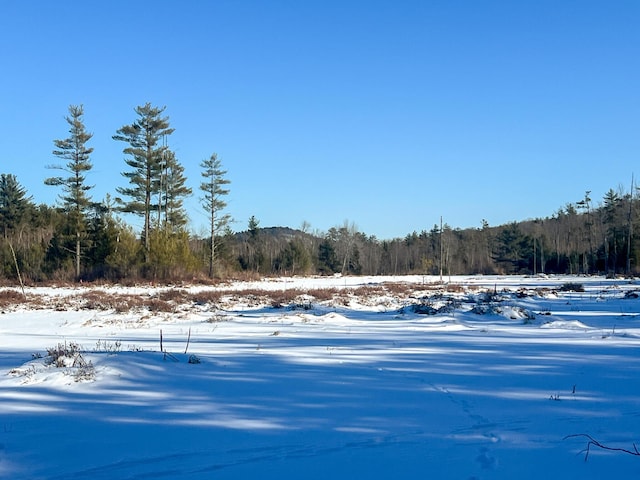 43-1 Old Meetinghouse Rd, Porter ME, 04068 land for sale