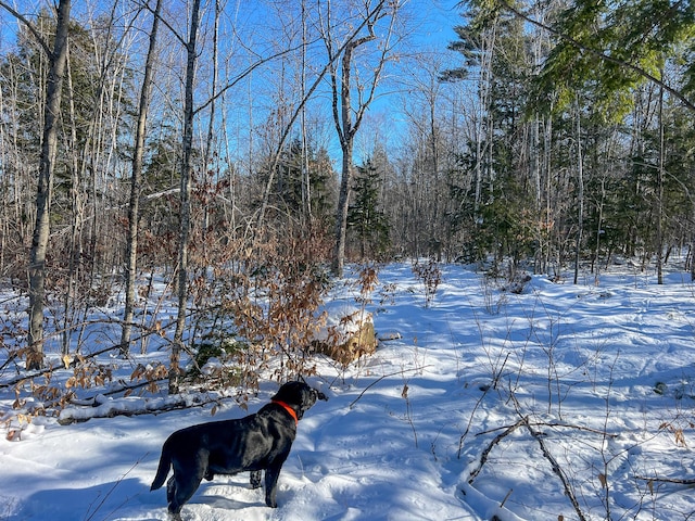 Listing photo 3 for 43-1 Old Meetinghouse Rd, Porter ME 04068