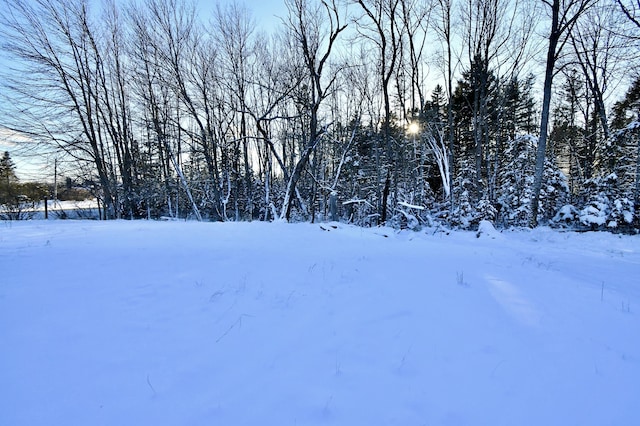 view of yard layered in snow