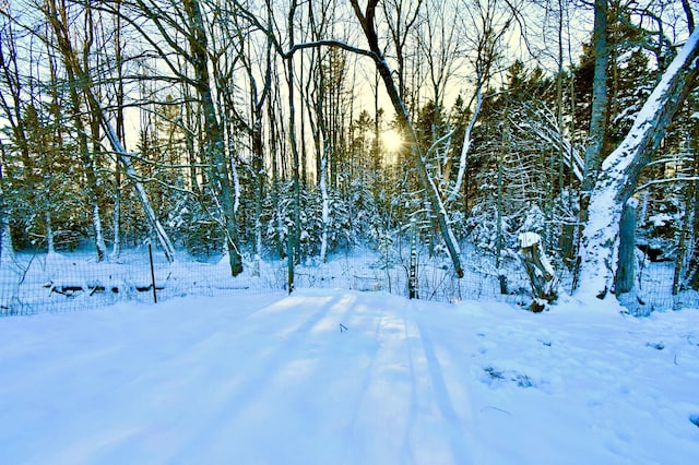 view of snowy landscape