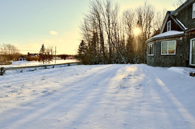 view of yard covered in snow