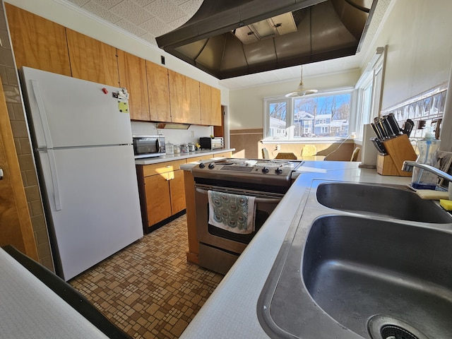 kitchen with sink, crown molding, wall chimney exhaust hood, and stainless steel appliances