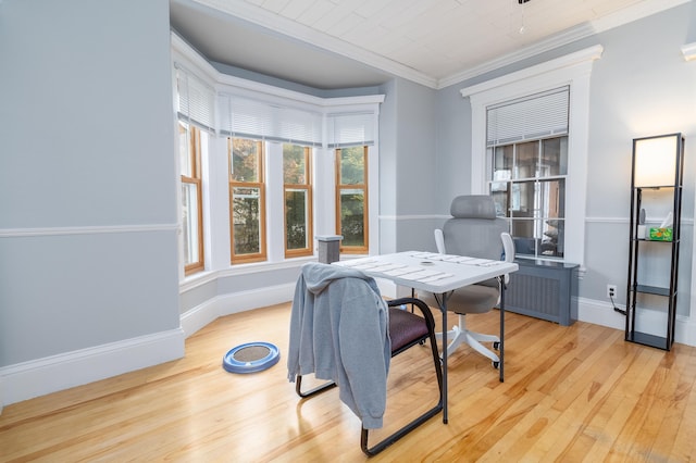 office with crown molding and light hardwood / wood-style floors