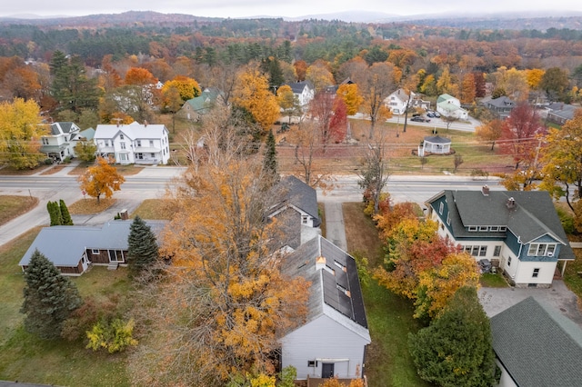 bird's eye view