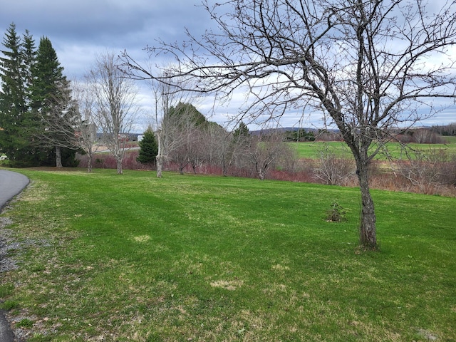 305 Fuller Rd, Easton, ME 04740 - view of yard