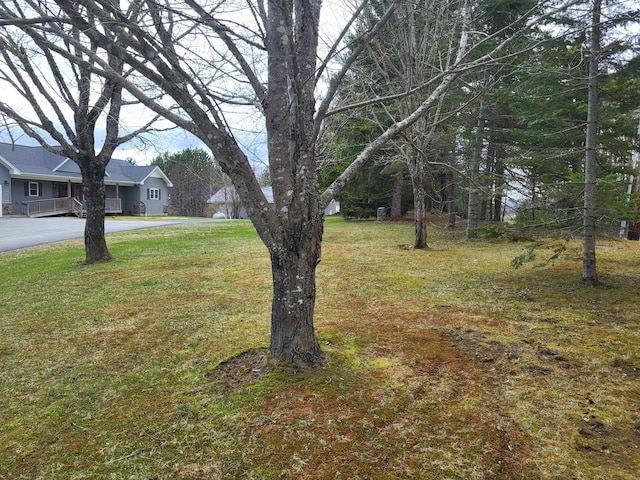 305 Fuller Rd, Easton, ME 04740 - view of yard featuring driveway