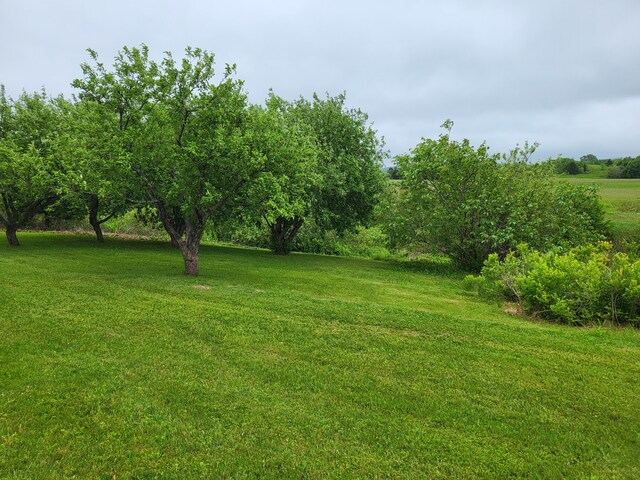 305 Fuller Rd, Easton, ME 04740 - photo 17