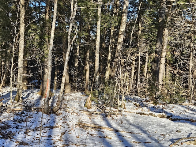 Listing photo 3 for LOT32 Alder Hill Rd, Brownville ME 04414