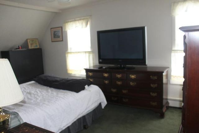 bedroom featuring carpet flooring, a baseboard radiator, and lofted ceiling