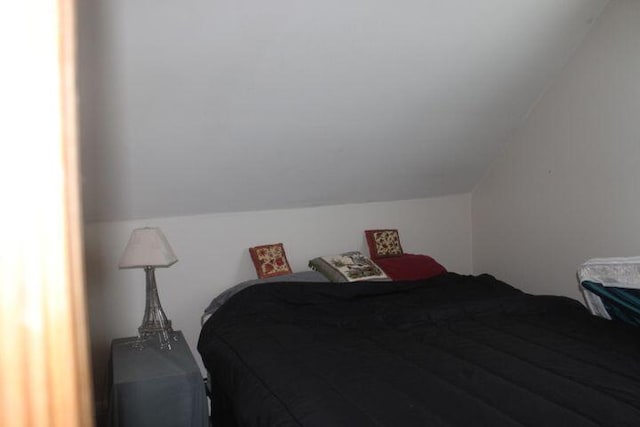 bedroom featuring vaulted ceiling