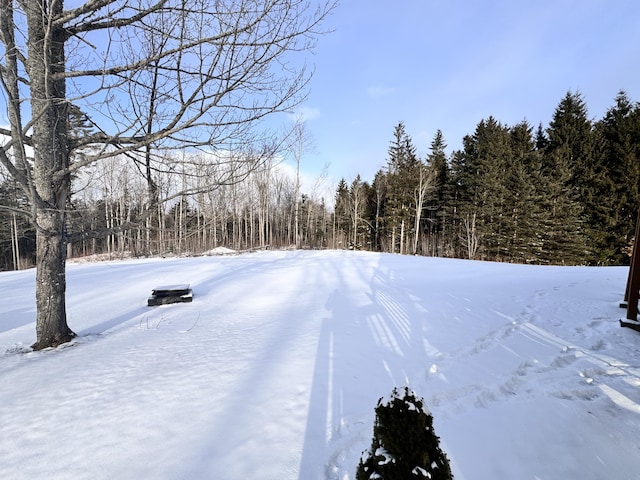 snowy yard with a wooded view