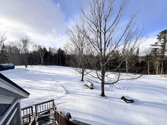 view of snowy yard