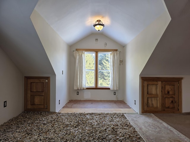 bonus room featuring carpet and vaulted ceiling