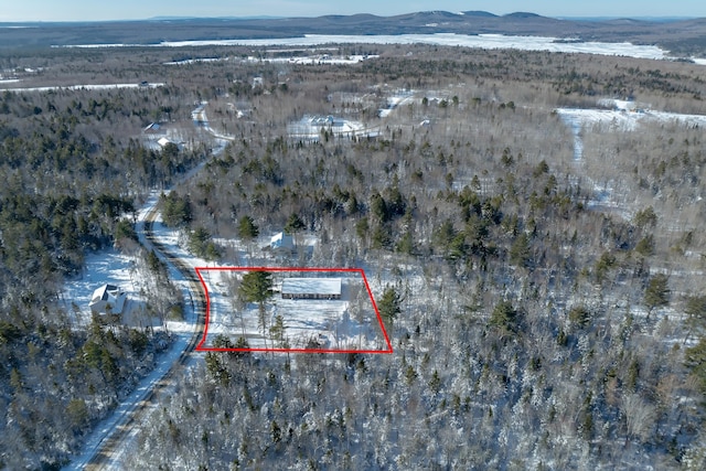 birds eye view of property featuring a mountain view