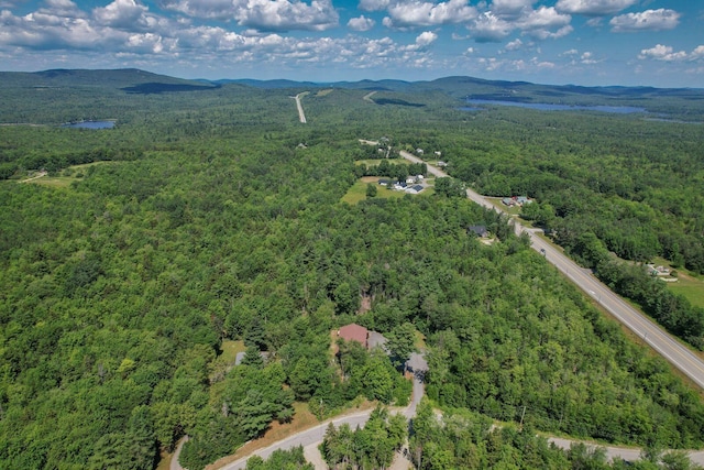 19 Autumn Rd, Ellsworth, ME 04605 - photo 80