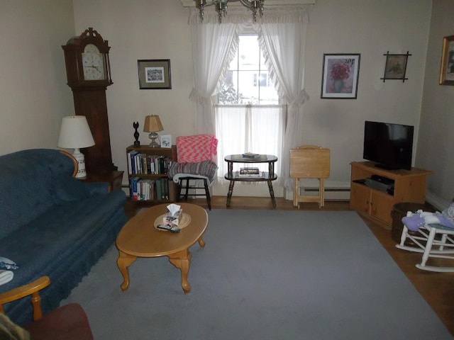 living room featuring a baseboard radiator and wood finished floors