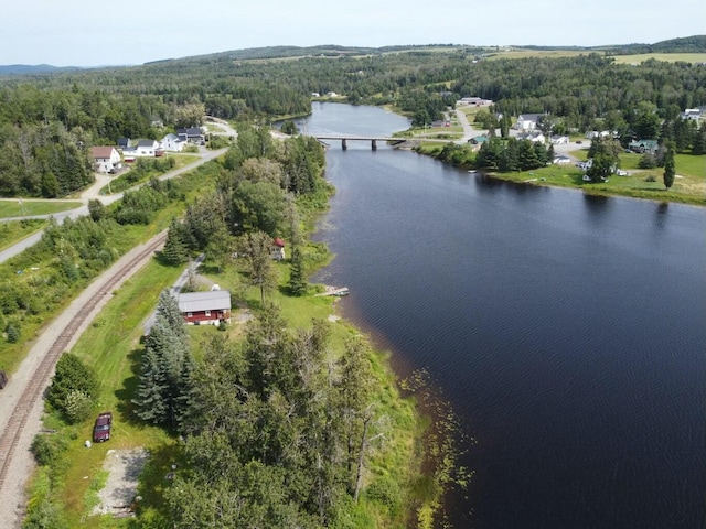 M10L22A Soldier Pond Rd, Wallagrass ME, 04781 land for sale