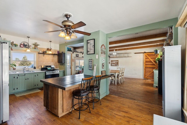 kitchen featuring appliances with stainless steel finishes, sink, dark hardwood / wood-style floors, ceiling fan, and a barn door