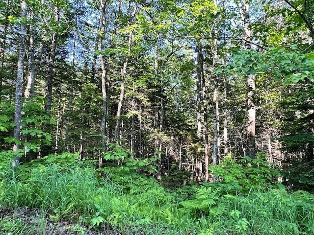 2001 W St, Carrabassett Valley, ME 04947 - photo 1