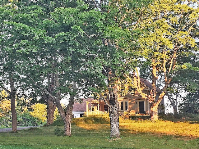 view of front facade featuring a front yard