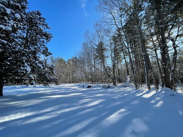 view of snowy yard