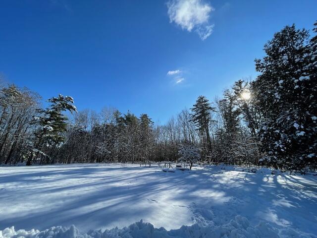 view of yard layered in snow