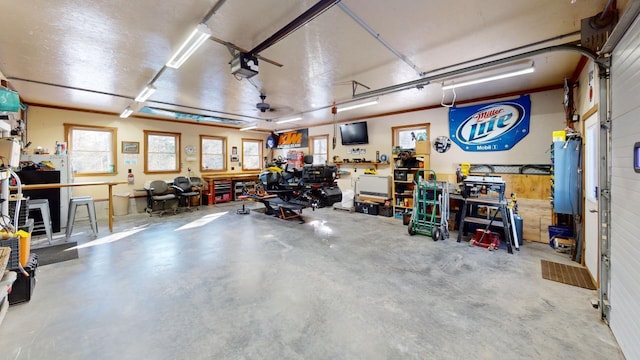 garage featuring a garage door opener and a workshop area