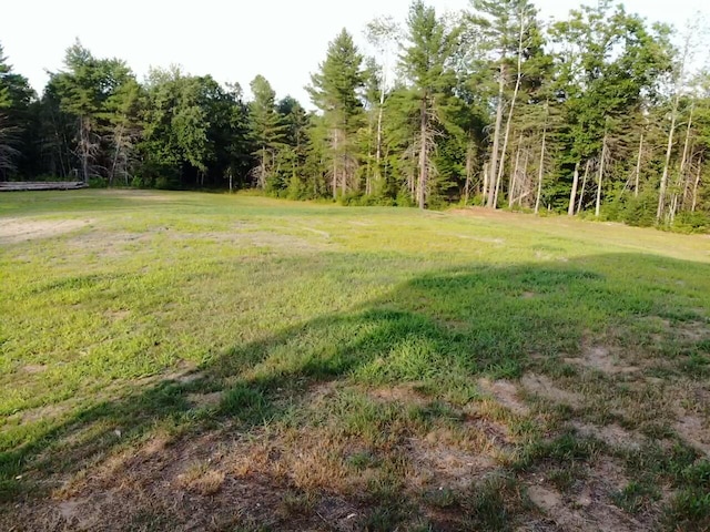 1449 Main Rd, Greenbush, ME 04418 - view of yard featuring a view of trees