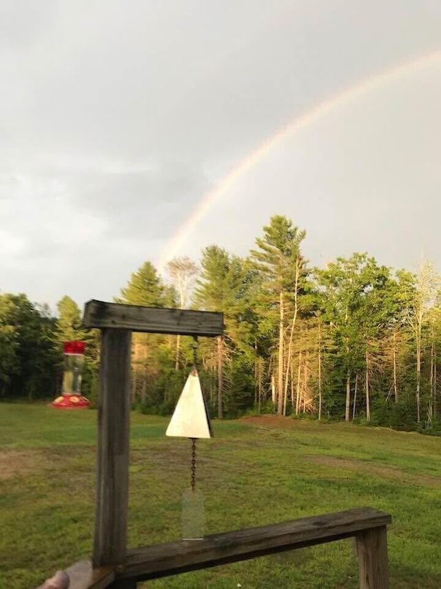 1449 Main Rd, Greenbush, ME 04418 - view of yard