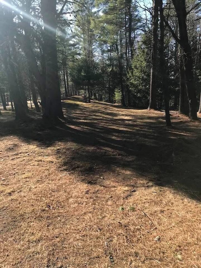 1449 Main Rd, Greenbush, ME 04418 - view of road