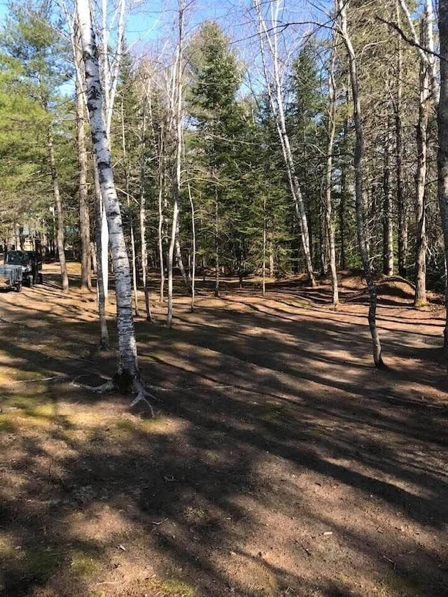 1449 Main Rd, Greenbush, ME 04418 - view of street
