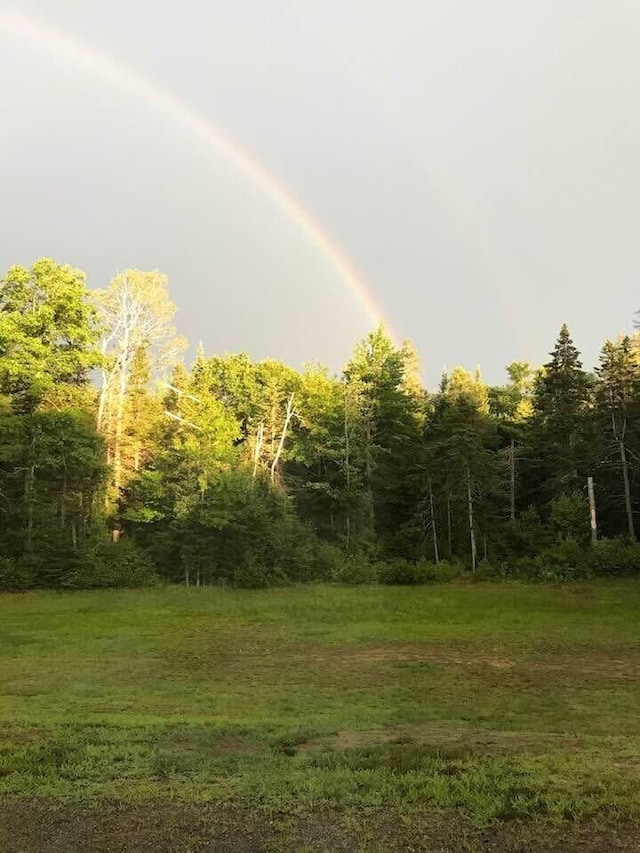 1449 Main Rd, Greenbush, ME 04418 - view of yard featuring a wooded view