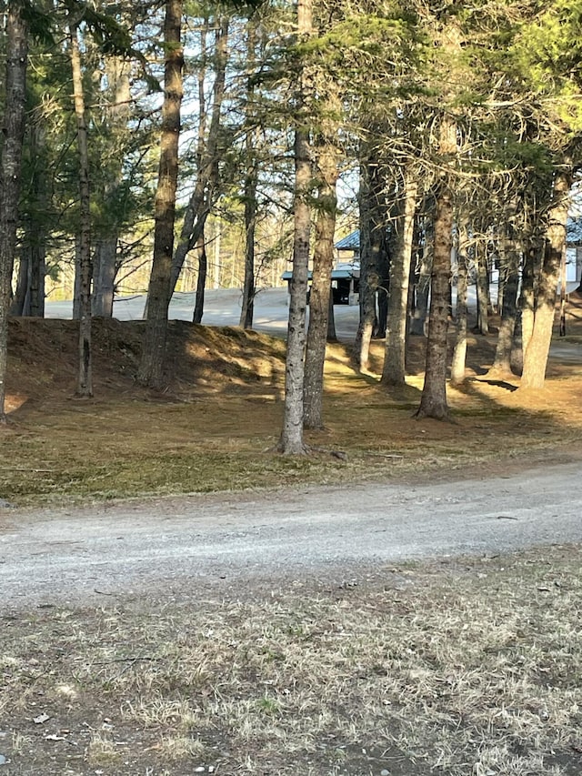 1449 Main Rd, Greenbush, ME 04418 - view of yard