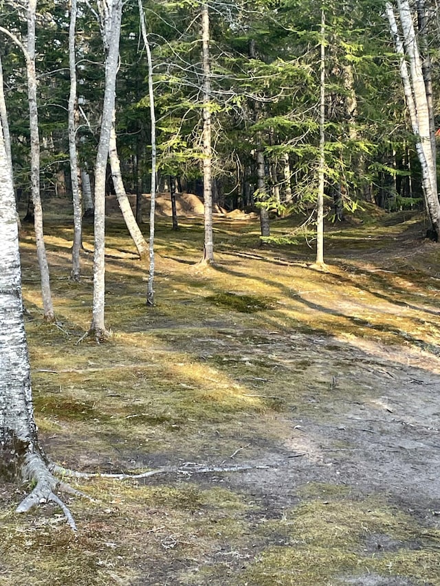 1449 Main Rd, Greenbush, ME 04418 - view of nature
