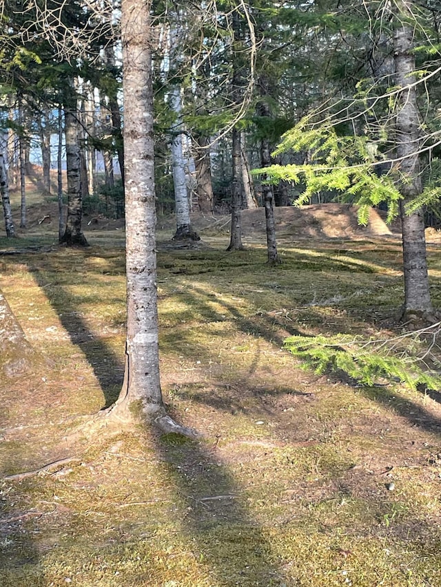 1449 Main Rd, Greenbush, ME 04418 - view of yard