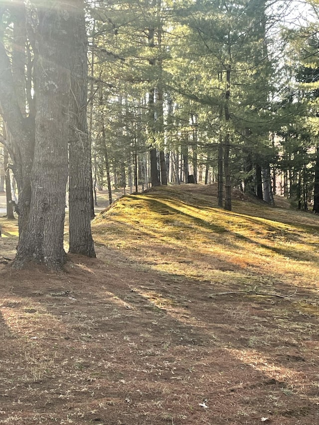 1449 Main Rd, Greenbush, ME 04418 - view of nature
