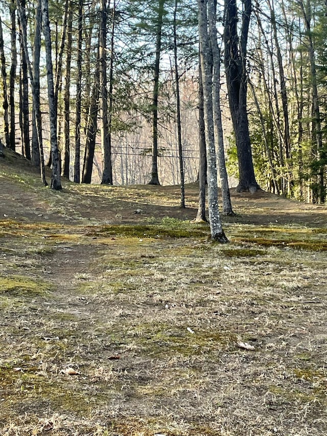 1449 Main Rd, Greenbush, ME 04418 - view of nature