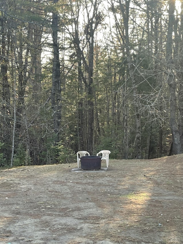 1449 Main Rd, Greenbush, ME 04418 - view of yard with a view of trees