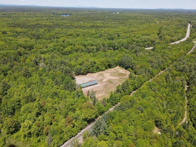 1449 Main Rd, Greenbush, ME 04418 - aerial view of a forest