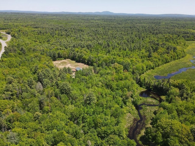 1449 Main Rd, Greenbush, ME 04418 - bird's eye view of a heavily wooded area