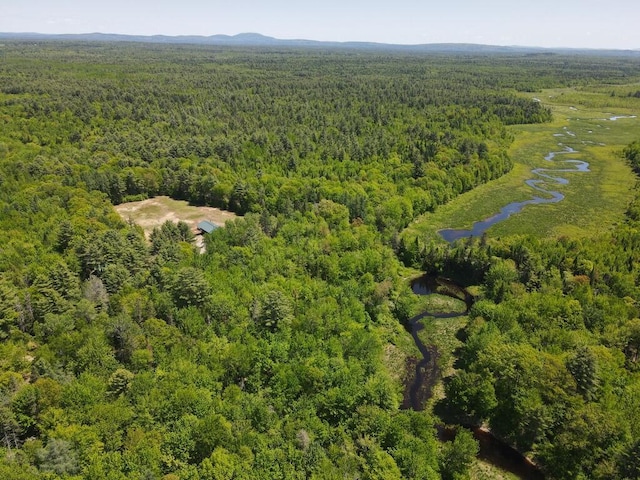 1449 Main Rd, Greenbush, ME 04418 - bird's eye view of a heavily wooded area