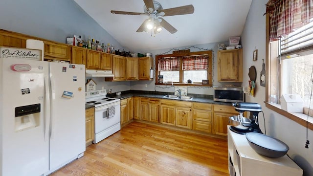 kitchen featuring light wood-type flooring, white appliances, sink, and a wealth of natural light