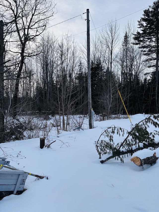 view of snowy yard