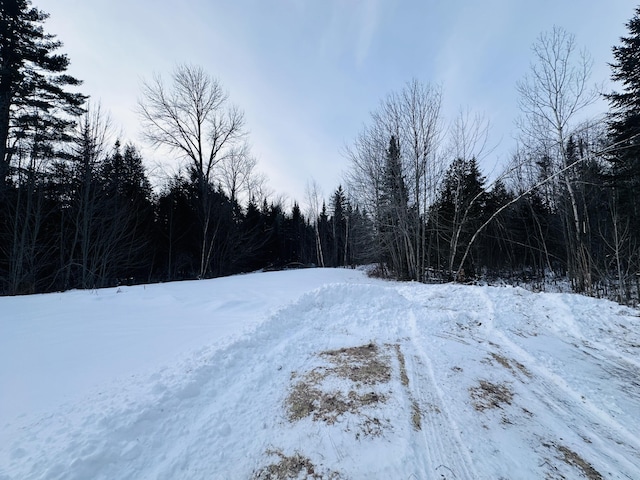 view of snowy yard