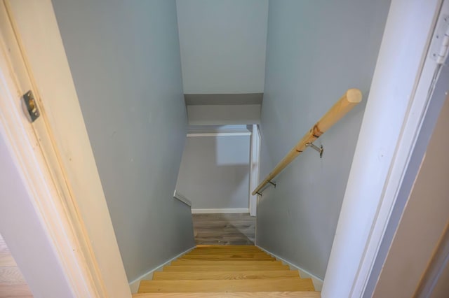 stairs with hardwood / wood-style flooring