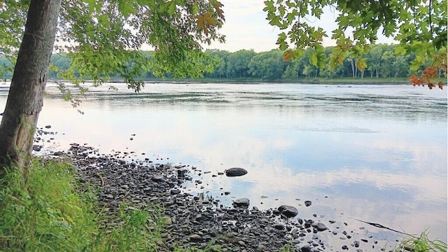 590 Mohawk Rd, Lincoln, ME 04457 - water view featuring a heavily wooded area