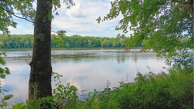 590 Mohawk Rd, Lincoln, ME 04457 - water view with a heavily wooded area