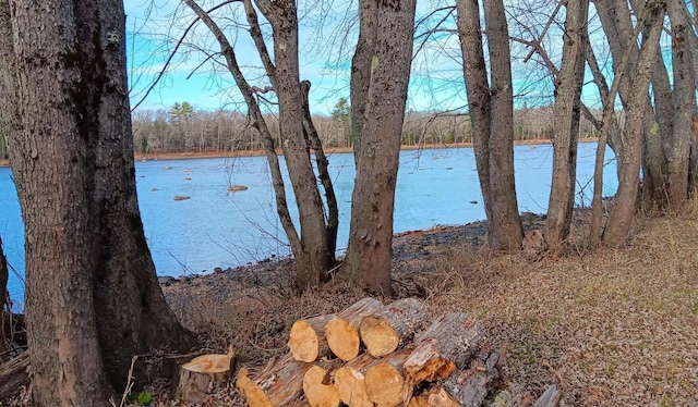 590 Mohawk Rd, Lincoln, ME 04457 - water view