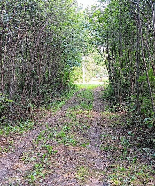 590 Mohawk Rd, Lincoln, ME 04457 - view of wooded area